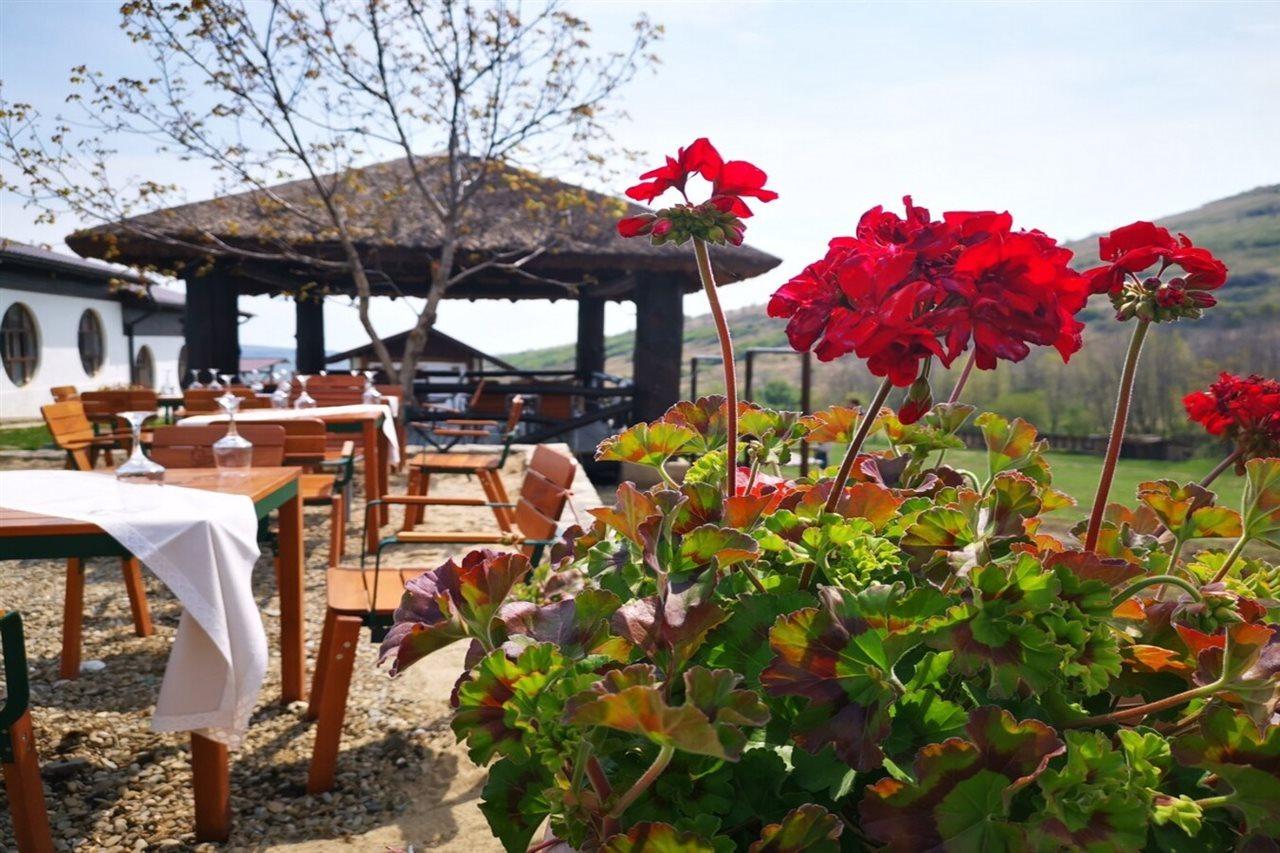 Hotel Ferma Dacilor à Tohani Extérieur photo