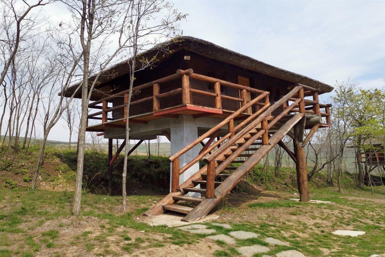 Hotel Ferma Dacilor à Tohani Extérieur photo