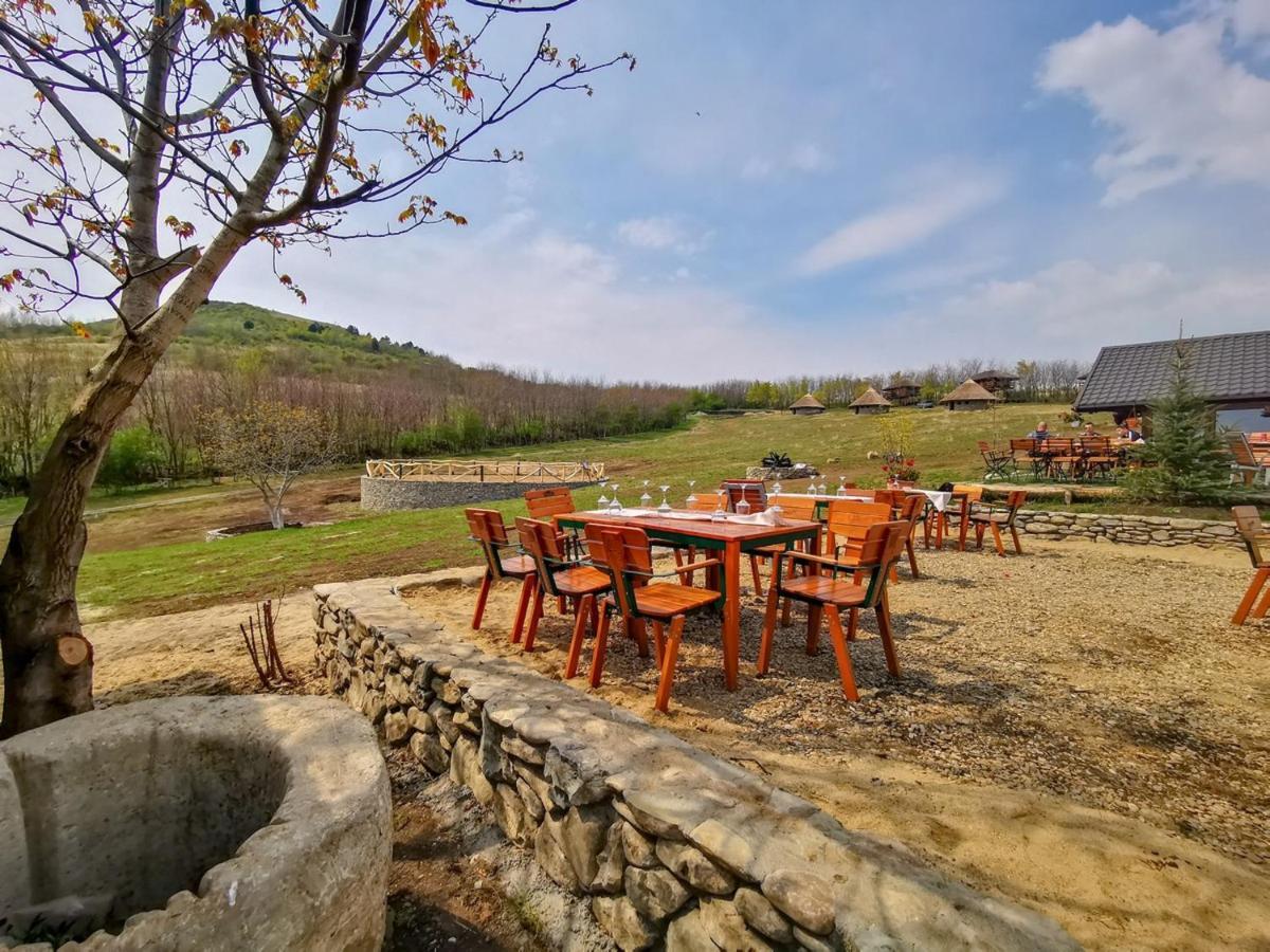Hotel Ferma Dacilor à Tohani Extérieur photo